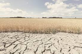 Climate Change situation in Cambodia